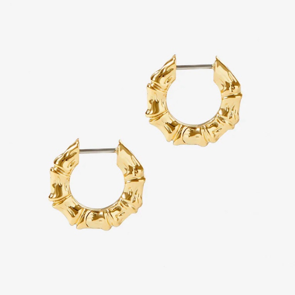Ana Luisa Mini Bamboo Earrings – Gold (Excellent Condition)